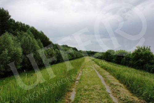 Fűmag 25kg töltés keverék, zacskóban