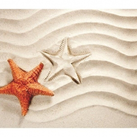 Fürdőszobai kilépő szőnyeg 45x70cm tengeri csillagok homokban